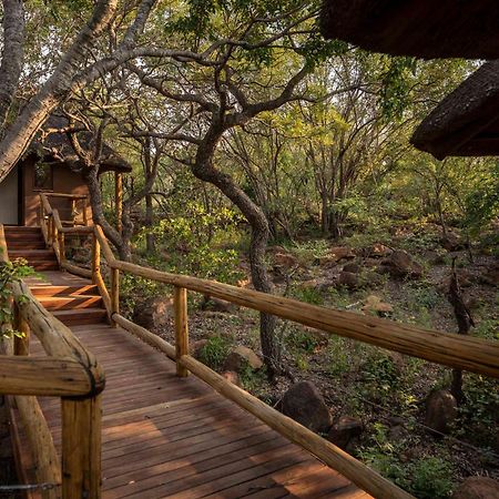 Tshwene Lodge ฟาลวอเทอร์ ภายนอก รูปภาพ