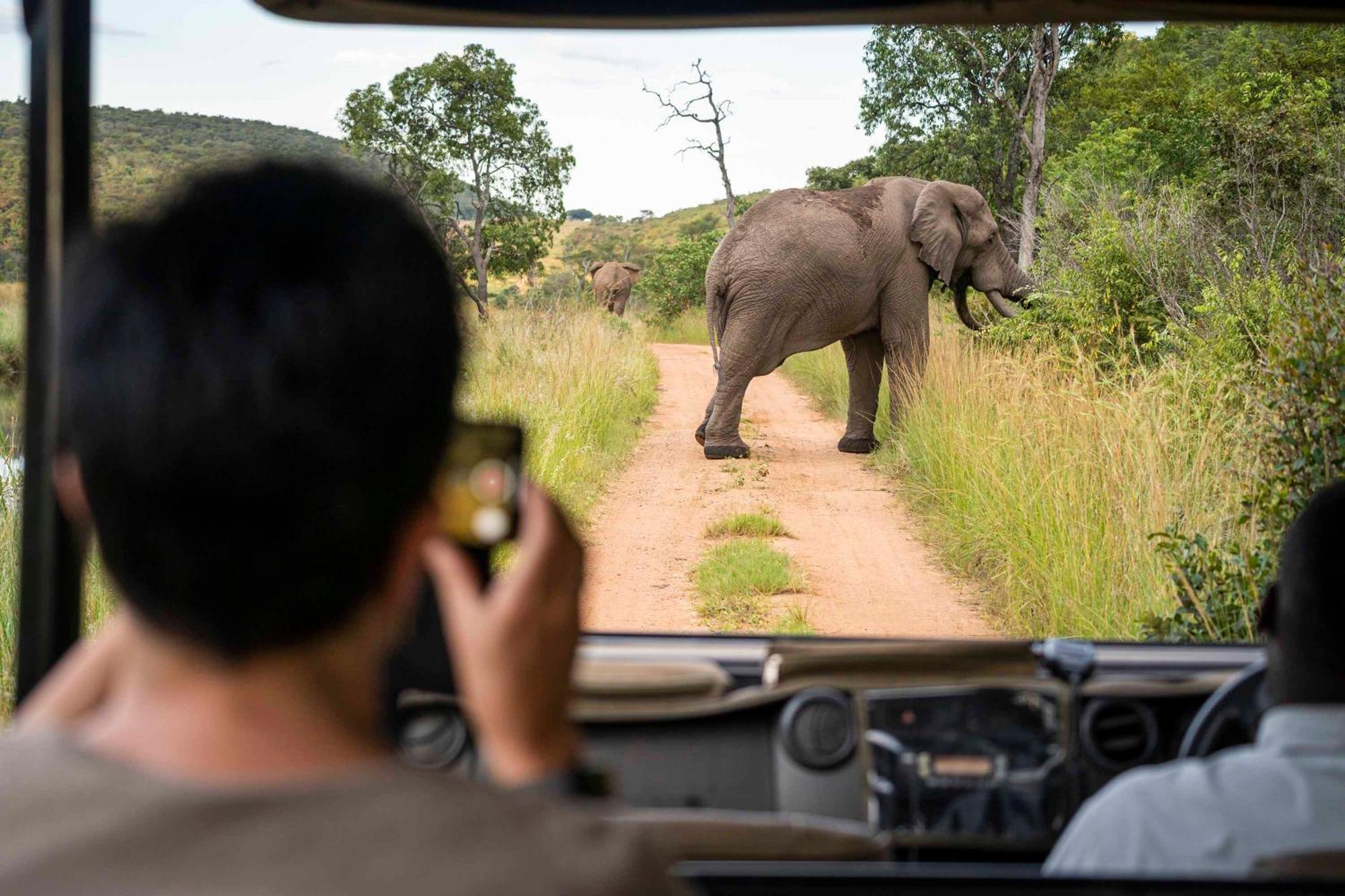 Tshwene Lodge ฟาลวอเทอร์ ภายนอก รูปภาพ