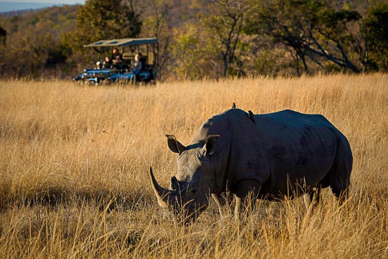 Tshwene Lodge ฟาลวอเทอร์ ภายนอก รูปภาพ